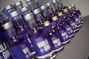 Arena VIP GIN2