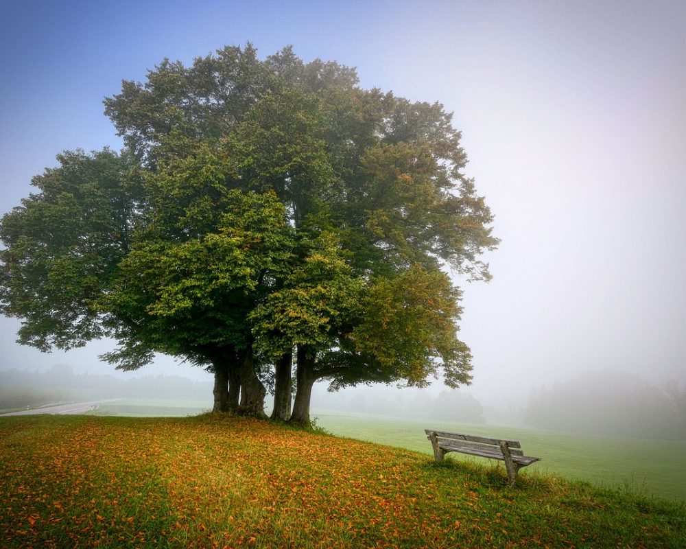 landscape-5591270_1280 landscape-5591270_1280